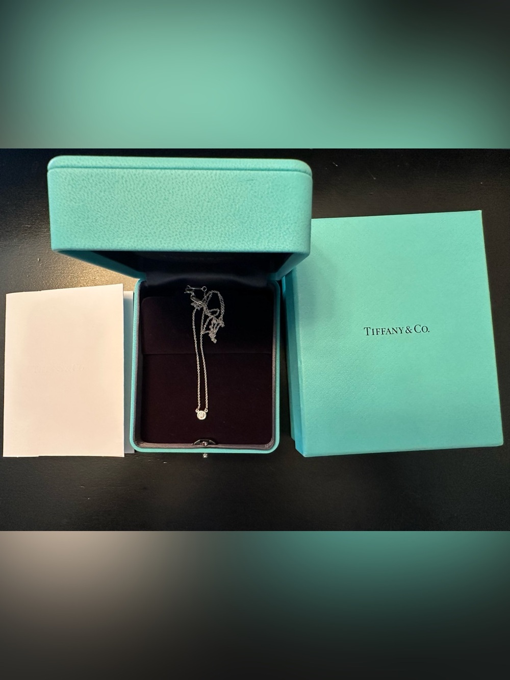 AUTHENTIC Tiffany & Co. Peretti .17 Diamonds by the Yard 16” Silver Pendant - Picture 11 of 15